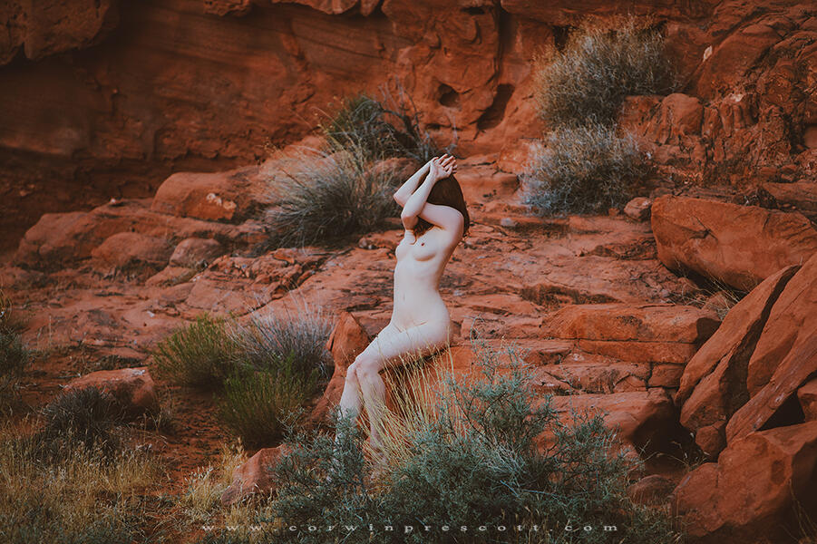Amber Rose / McConnell / amberrosemc Nude   19